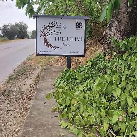 B&B I Tre Ulivi Morro d'Oro Ngoại thất bức ảnh