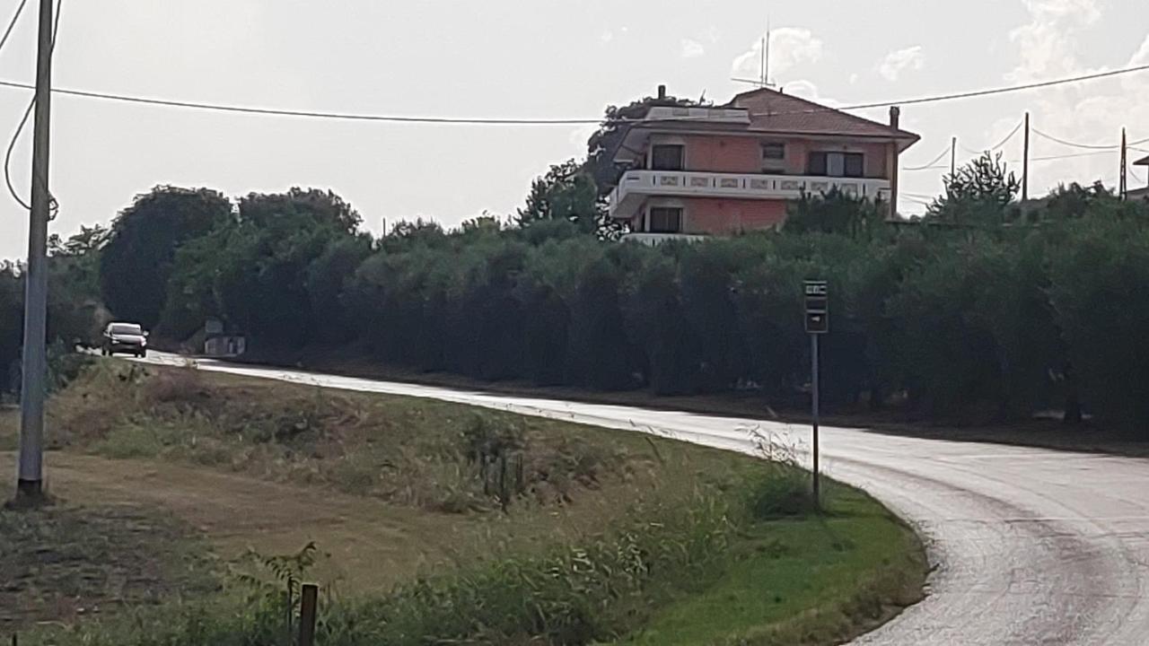 B&B I Tre Ulivi Morro d'Oro Ngoại thất bức ảnh