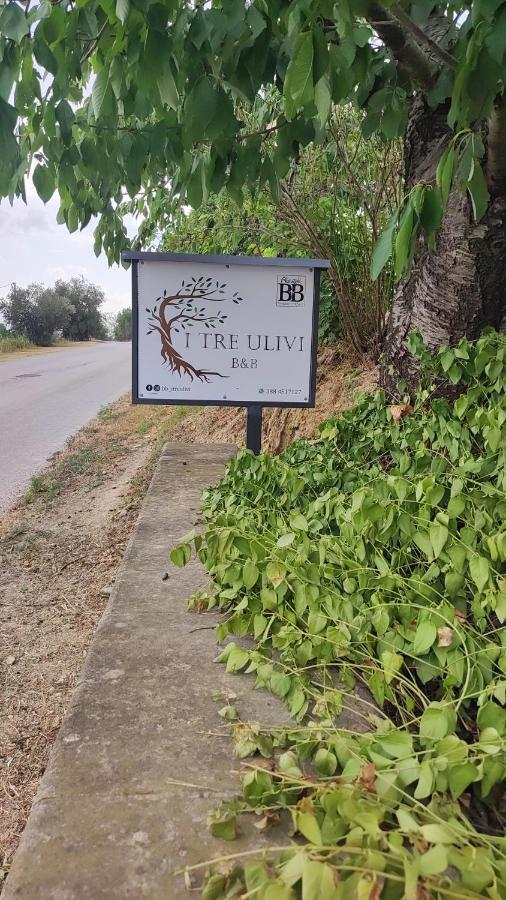 B&B I Tre Ulivi Morro d'Oro Ngoại thất bức ảnh