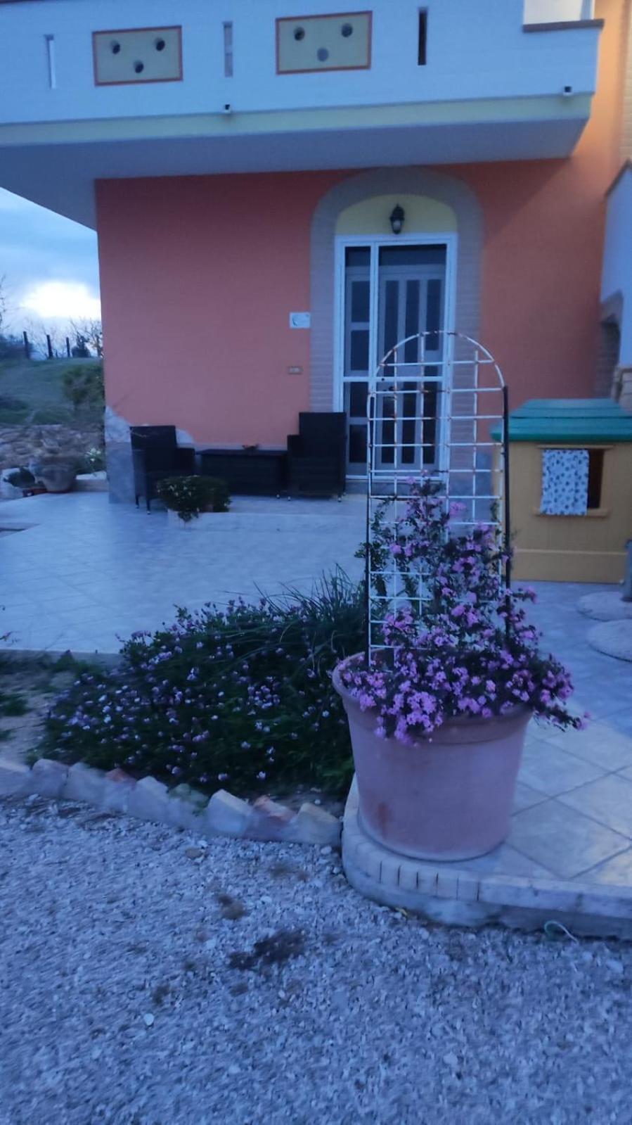 B&B I Tre Ulivi Morro d'Oro Ngoại thất bức ảnh