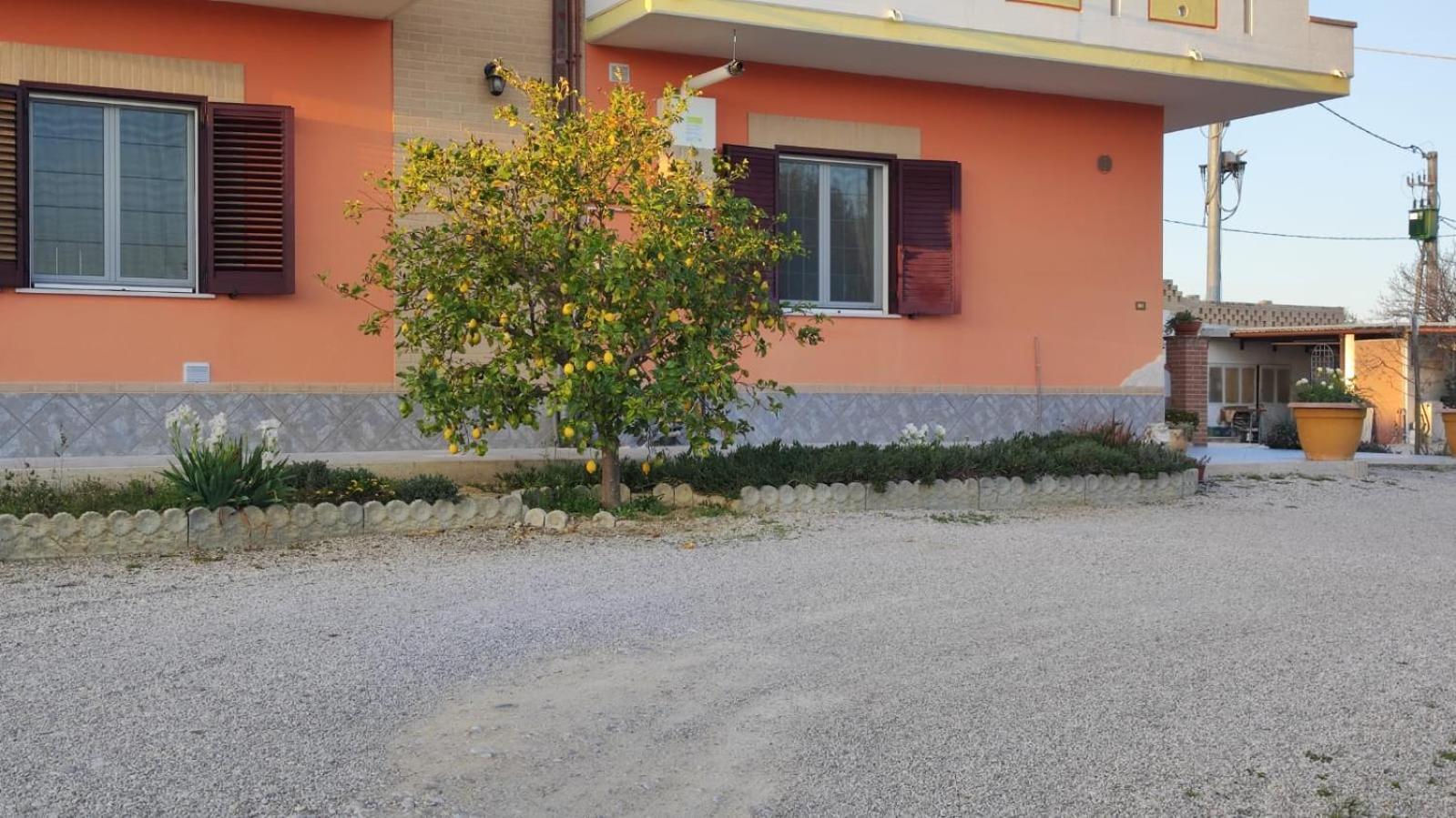 B&B I Tre Ulivi Morro d'Oro Ngoại thất bức ảnh